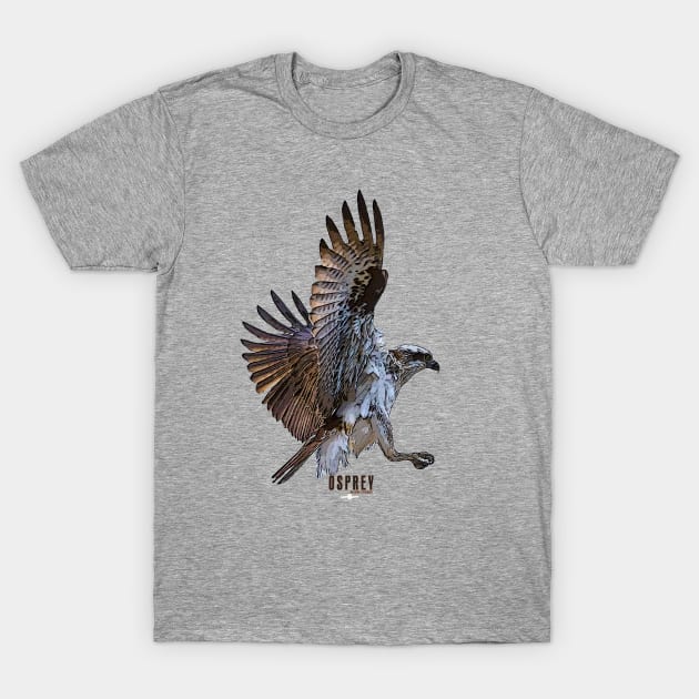 Osprey_03 T-Shirt by seadogprints